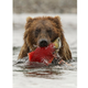 Image for article titled These Electrifying Photos Celebrate 50 Years Of USA's Wilderness Act